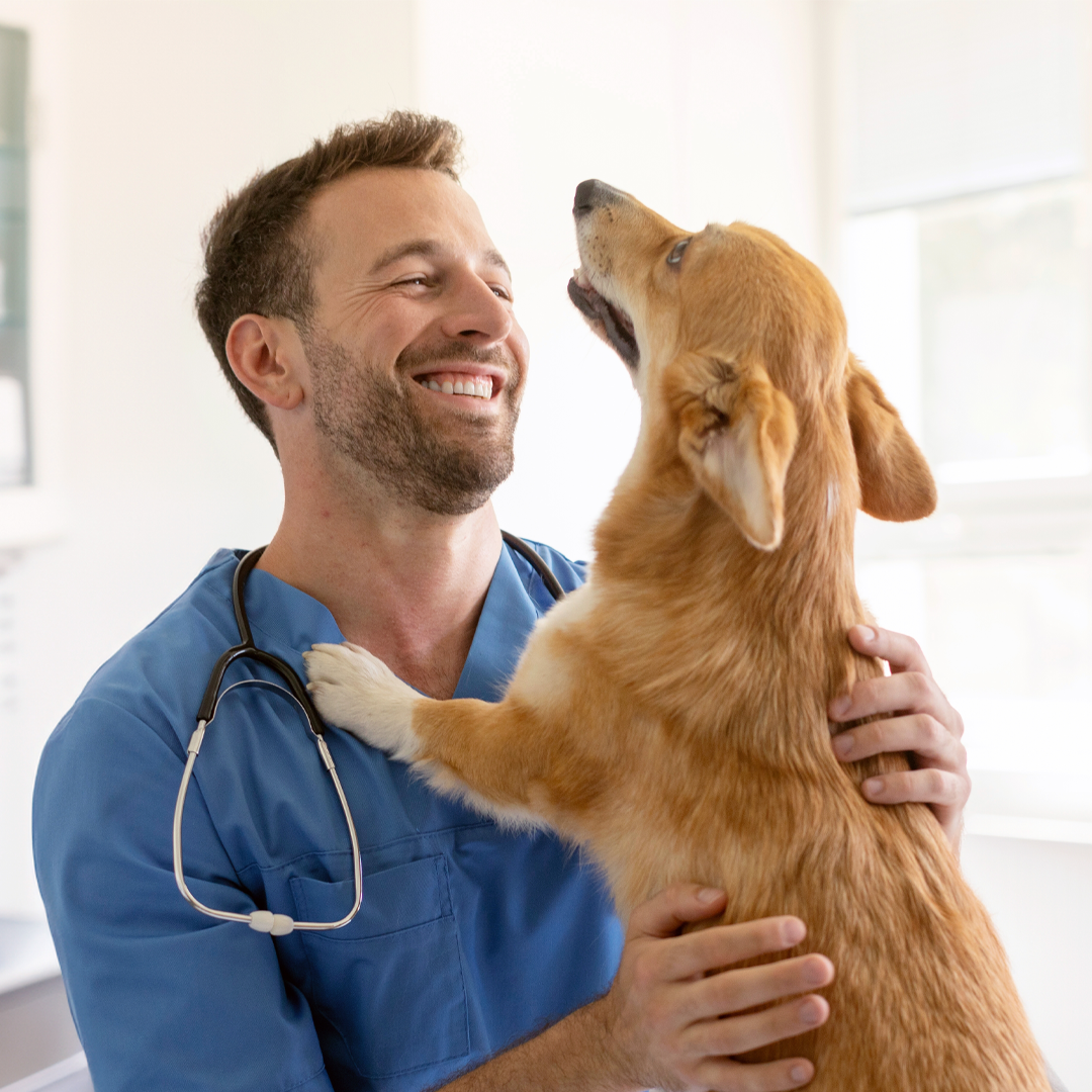 vet with dog