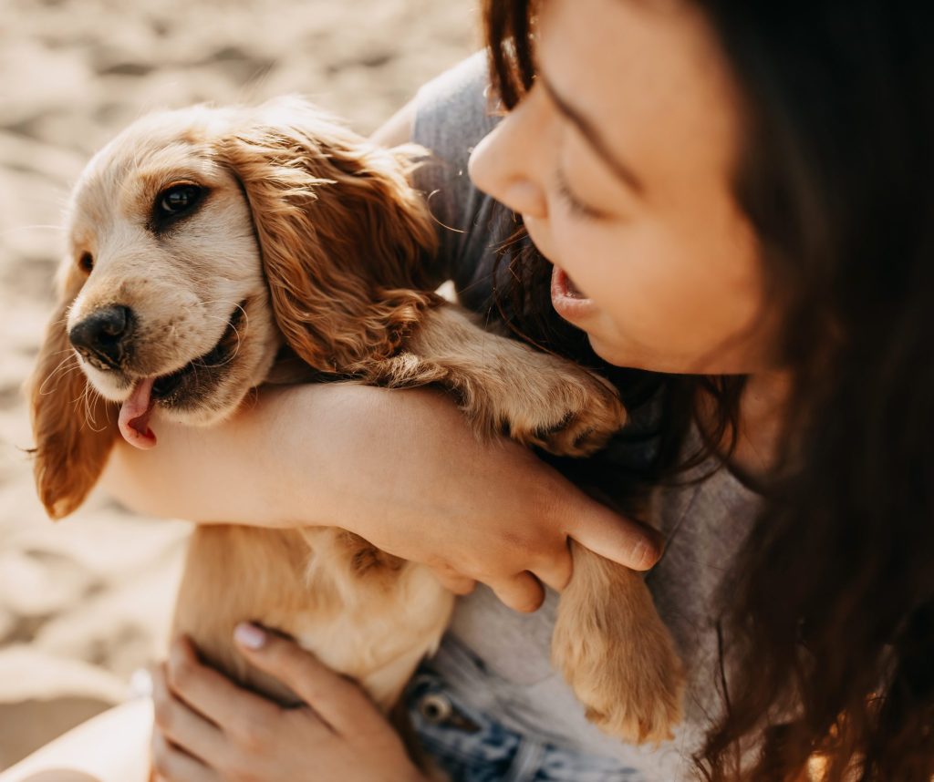 puppy and owner at the beach