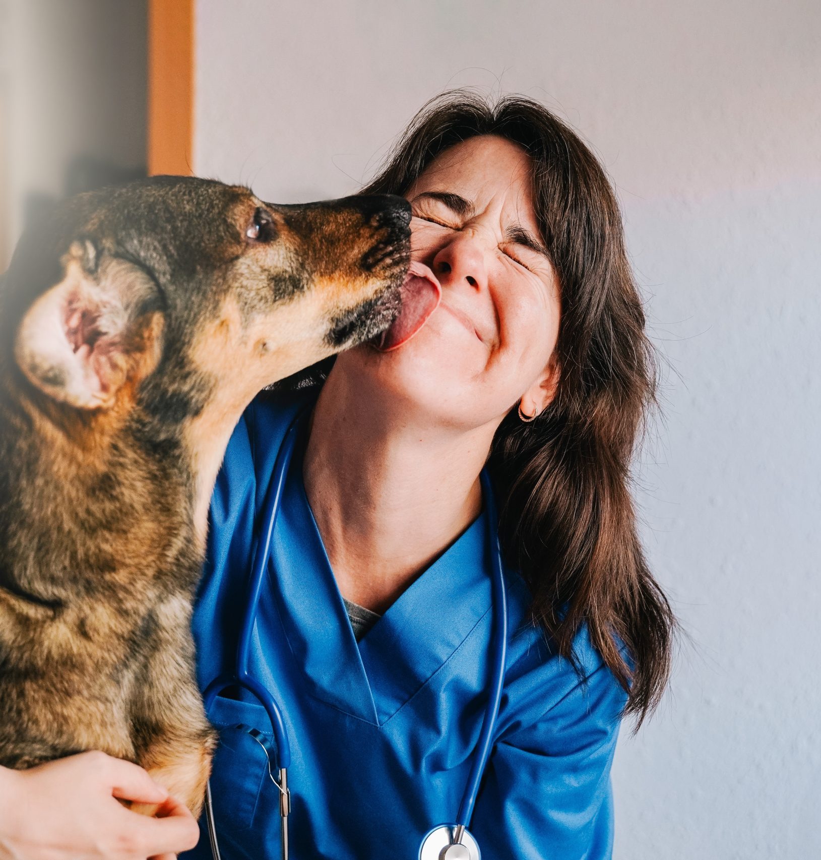 dog licking gladstone vet